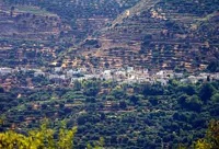 Μυρσίνη Μυρσίνη
